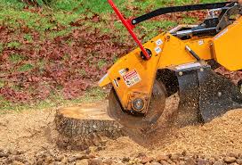 Best Seasonal Cleanup (Spring/Fall)  in Lloyd Harbor, NY